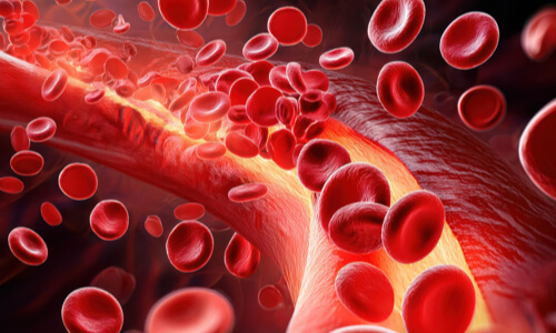 acute inflammation increased blood flow to area