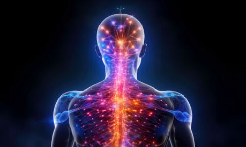 inflamed nerve endings