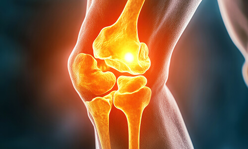 patella